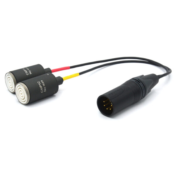 B9Audio CMP1C duet Dual microphone pre-stage, direct cable 30 cm , XLR5 stereo output