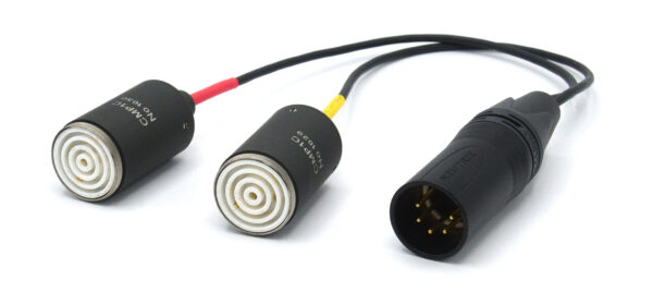 B9Audio CMP1C duet Dual microphone pre-stage, direct cable 30 cm , XLR5 stereo output – Bild 2