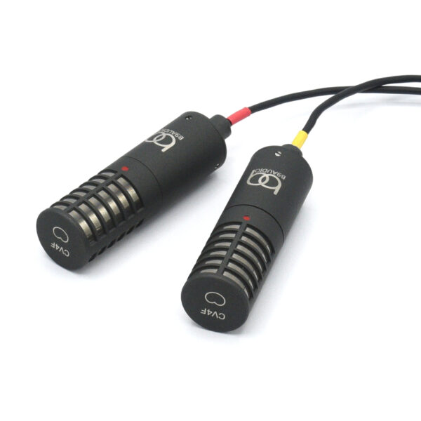 B9Audio FSM44V Flexible stereo microphone, 2 x side address cardioid flat, for XY
